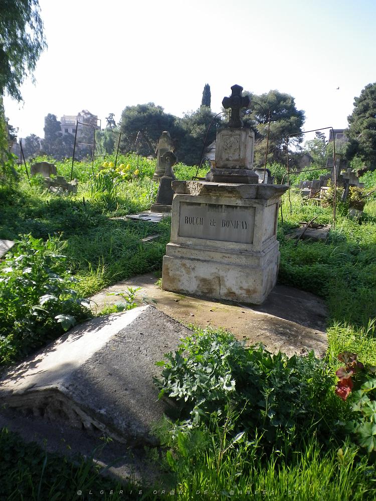CIMETIERE DE TAMAZOUHET D ORAN EN MARS 2012  (80).JPG